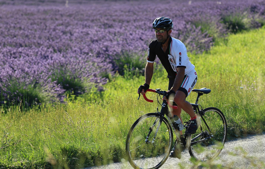 Entre lavandes et collines la Provence à vélo sous un autre angle