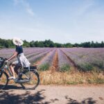 Entre lavandes et collines la Provence à vélo sous un autre angle