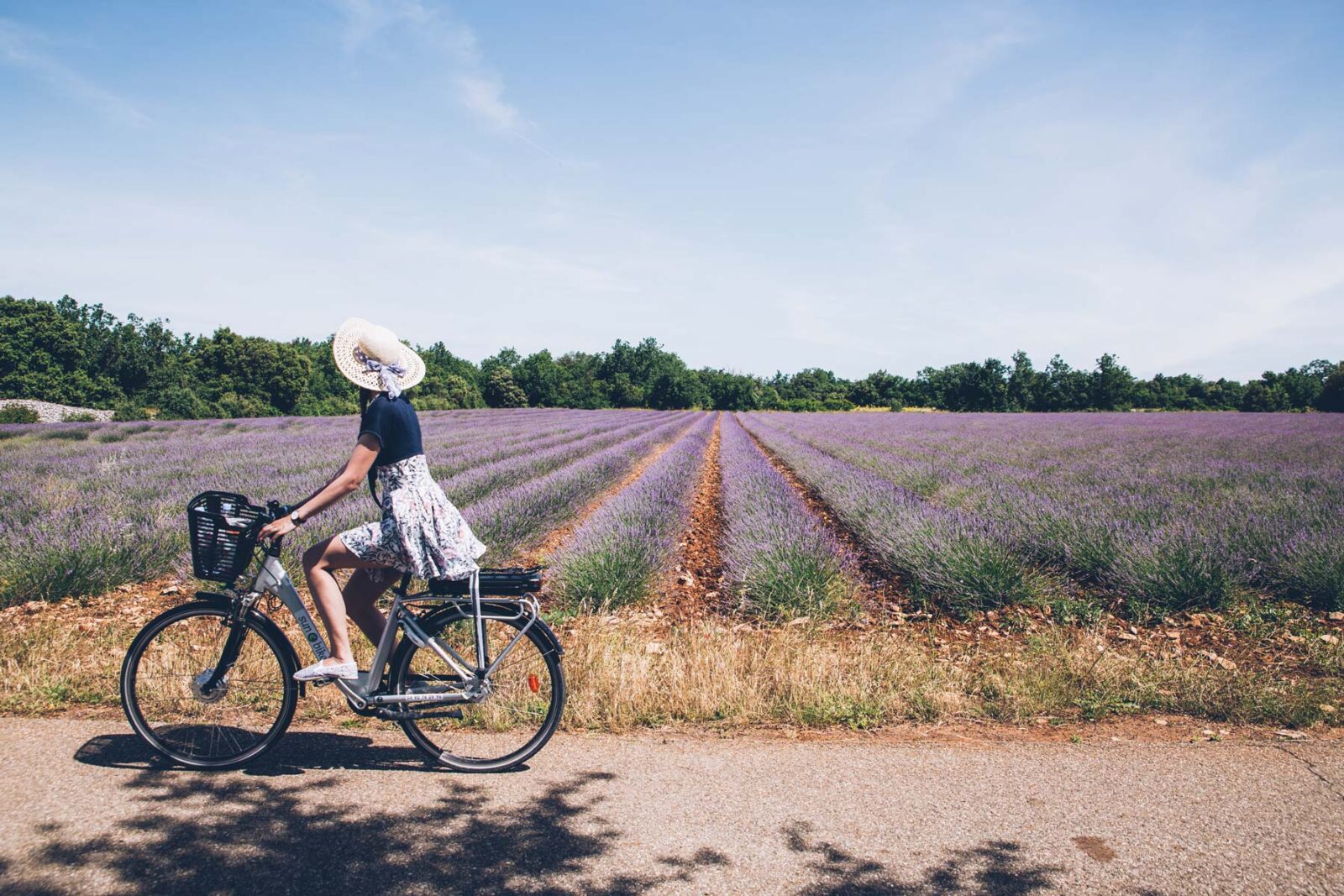 Entre lavandes et collines la Provence à vélo sous un autre angle