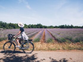 Entre lavandes et collines la Provence à vélo sous un autre angle